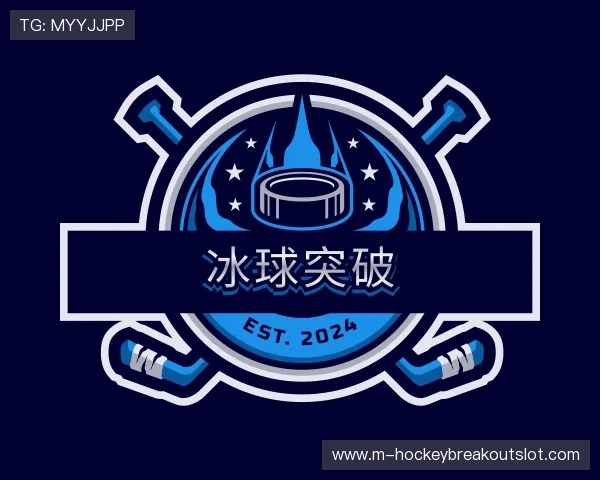 介绍冰球突破公司